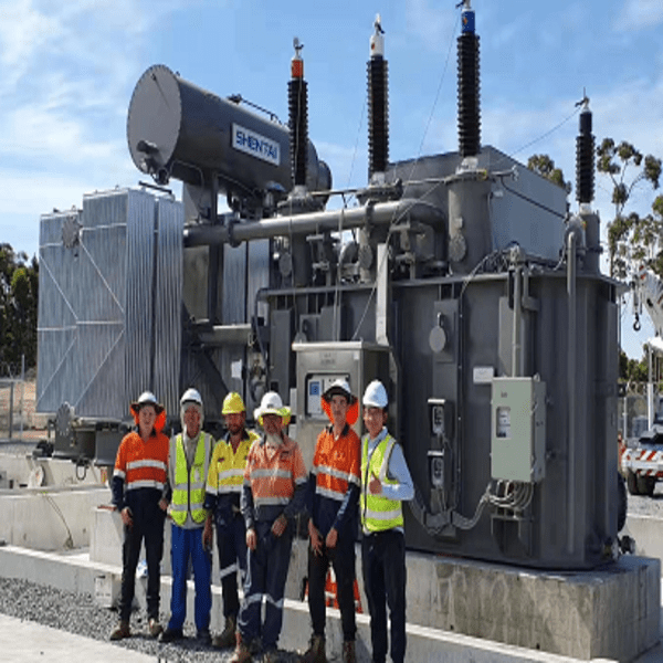 Natural Easter Oil- Immersed Power Transformer(Up to 750kV)